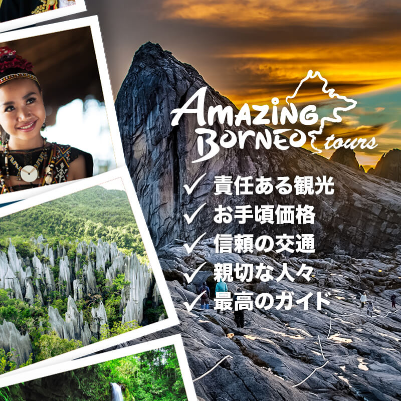Amazing Borneo