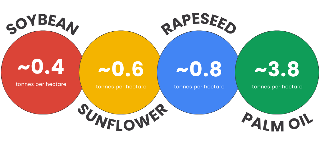 Vegetable Oil Production