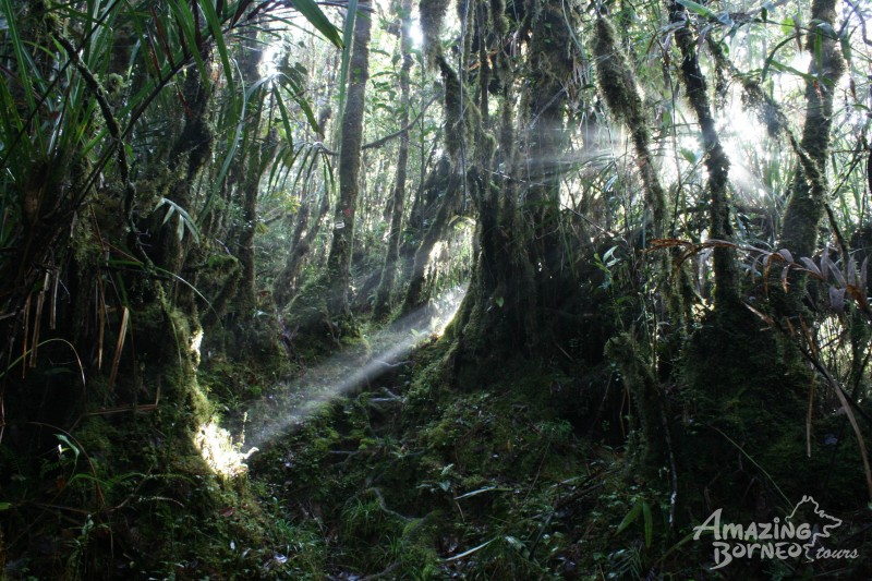 2 2 Million Acres Of New Protected Areas In Sarawak Travelogue Amazing Borneo Tours