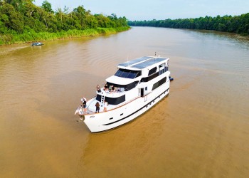 Luxe Wildlife Voyager: 3D2N Luxury Kinabatangan River Cruise – Malaysia's First Wildlife Liveaboard