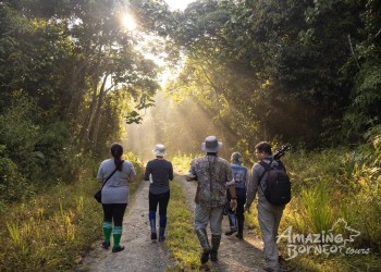 4D3N Sungai Kapur Wildlife Experience at Utan Rainforest Lodge