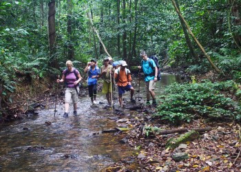 5D4N Batang Ai Red Ape Trail with Iban Longhouse Stay and Lubok Kasai Jungle Camp in Sarawak