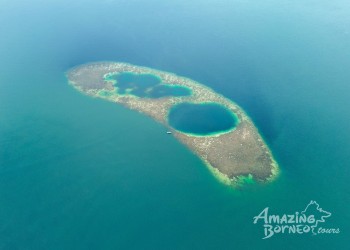 2D1N Blue Rings Reef & Japanese Shipwreck: Dive, Snorkel & Birdwatch in Lahad Datu