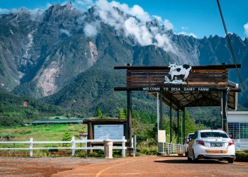 4D3N Kundasang Getaway: Kinabalu Park, Poring Hot Spring, Canopy Walk, Desa Cow Farm & Sabah Tea Garden