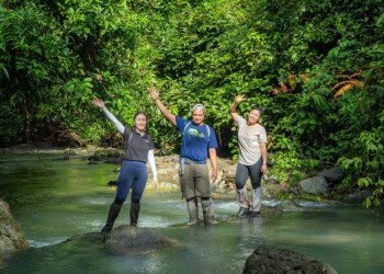 5D4N Rivers & Rainforests: Kinabatangan River & Danum Valley Field Centre