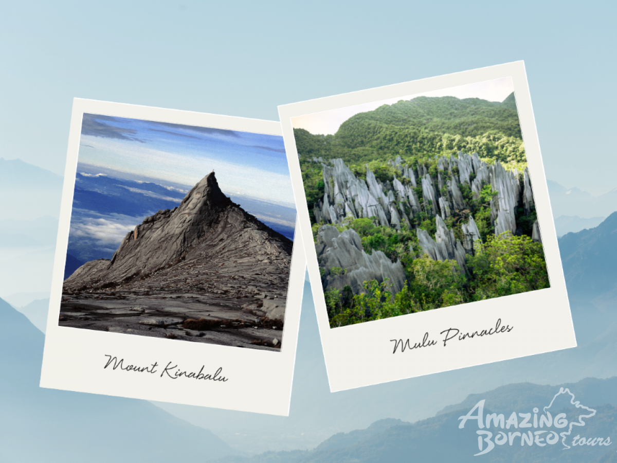 Mount Kinabalu vs Mulu Pinnacles: Why Mulu Pinnacles Should Be Your Next Adventure After Mount Kinabalu