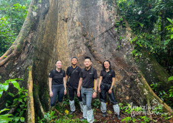 Why is Danum Valley Field Centre So Expensive to Visit?