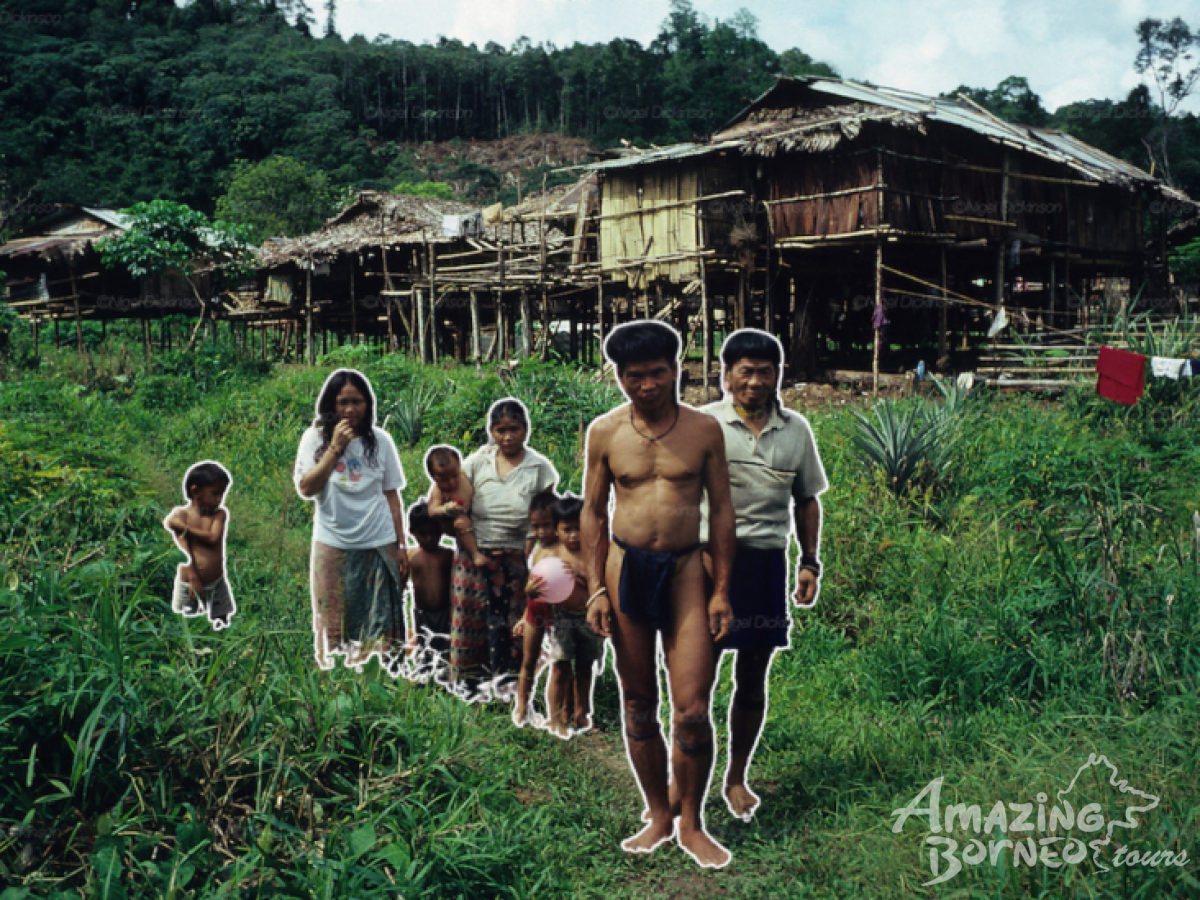 The Last Nomads of Borneo: The Penan People of Mulu National Park